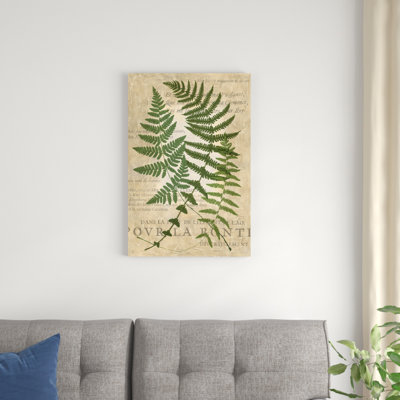 "Fougère fougère I" par Vision Studio, reproduction d'art sur toile