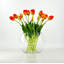 5 vraies tulipes artificielles-1088954041