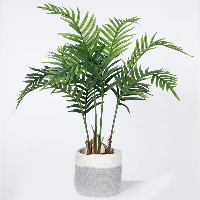 Cavazos 36'' Faux Palm Tree in Wicker/Rattan Planter