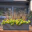 Milan Tall Polymer Box-2029879274-2054200164