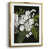 Gold Framed Paper selected