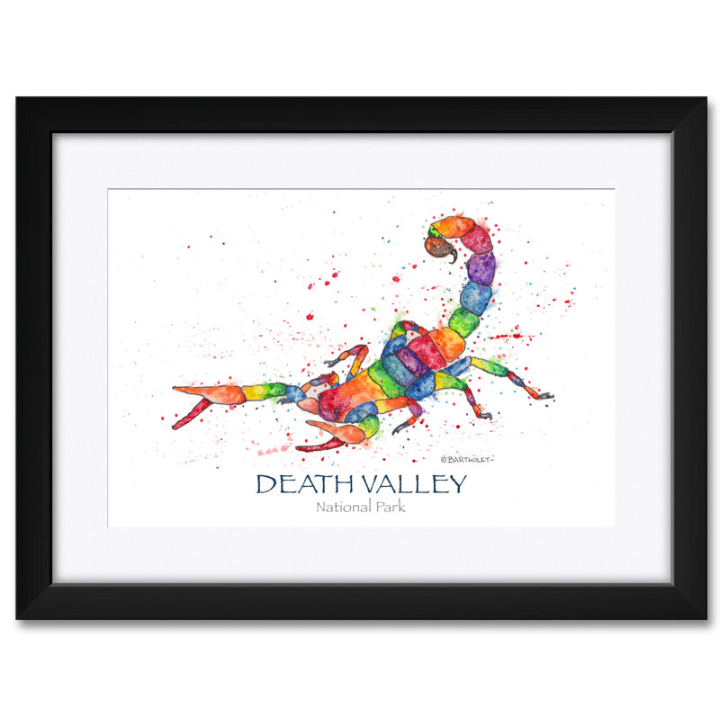 «Rain Valley National Park Rainbow Scorpion» par Dave Bartholet