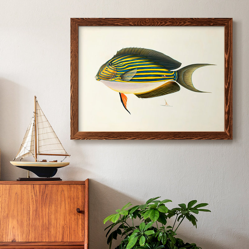 «Tropical Fish Collection I», reproduction sur toile, H 18 po x l 26 po, Érable