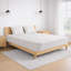 Blassingame Symple Stuff Open Coil Mattress-73533494