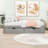Yolanthe Twin Size Platform Bed with 2 Drawers-415818950