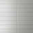 Silver Light Gray