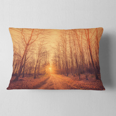 Coussin lombaire «Forest Road into Sunrise»