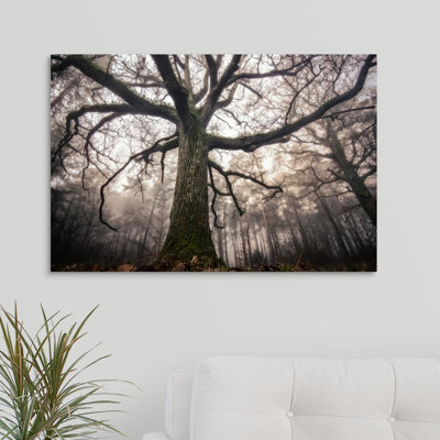« the old oak », reproduction de photo sur toile