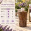 Table d'appoint MGO Construction