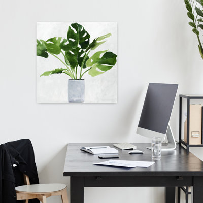 Plante verte, plante élégante et minimaliste