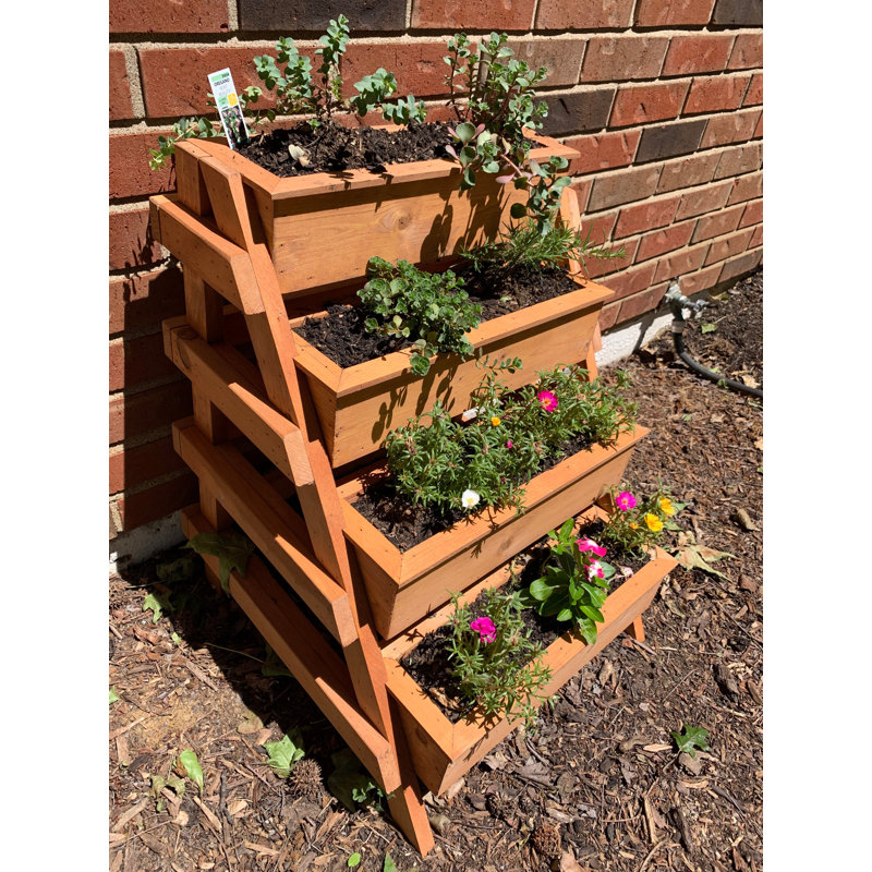 Jardin vertical en bois Rosie