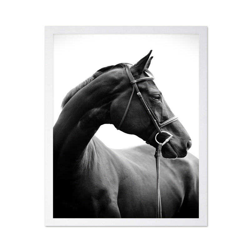 Portrait de cheval n ° 2, Poster, White Framed, 11"H x 14"W