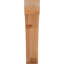 Attelle de genou Legacy-64784681-64751483