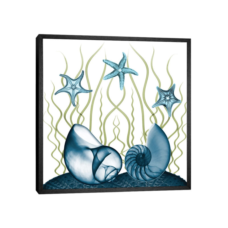 Majestic Sea Floor II by Albert Koetsier - Print on Canvas, 45.72cm H x 45.72cm W x 3.81cm D, Black Framed