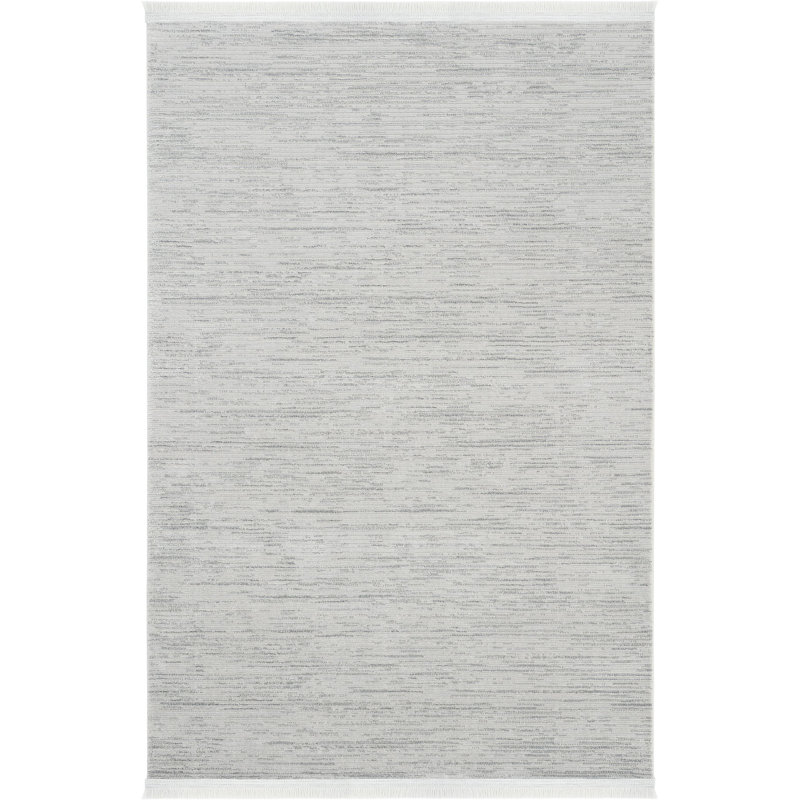 Ribhi Solid Colour Machine Made Indoor / Outdoor Area Rug, Rectangle 2'7" x 4'11"
