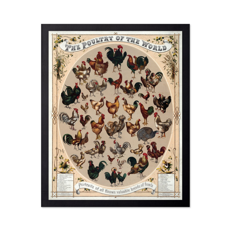 Volaille du monde, 11"H x 14"W, Poster, Unframed