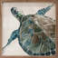 «Neutral Turtle II» par Carol Robinson-2055031756
