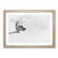 Magpie in Flight in Abstract - Picture Frame Graphic Art Print-55760837-55760841