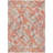 Machine Washable Indoor/Outdoor Christain ACN1328 Coral Rug-102631408