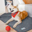 Polyester polaire PET-B8008WP-95187662-95187663