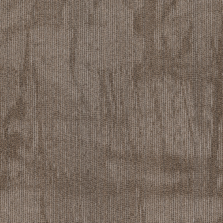 Castilla 24-in x 24-in Multi-Level Loop Adhesive Carpet Tile (80-sq ft)