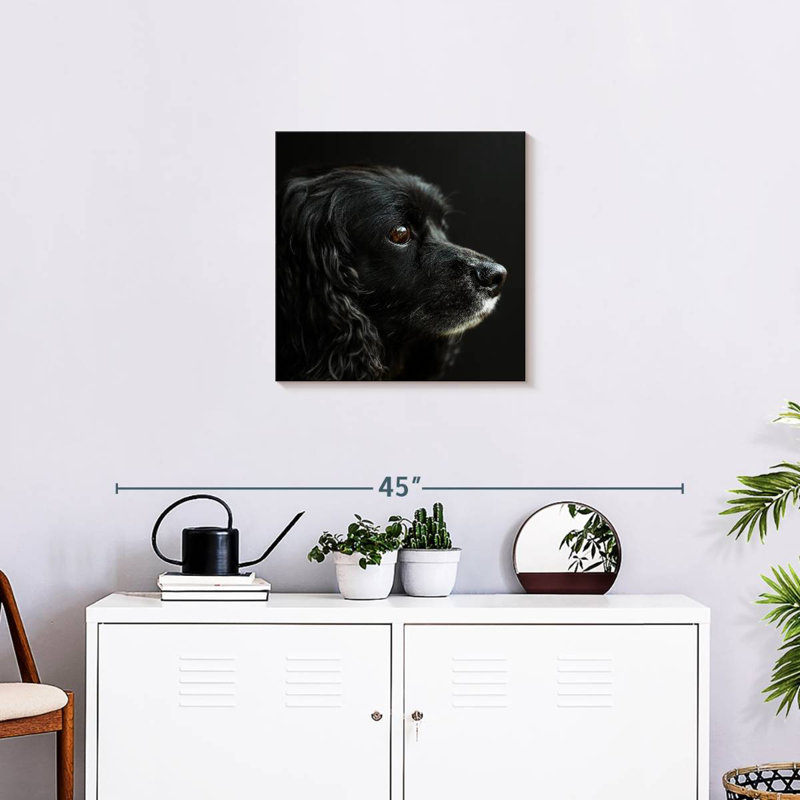 Cocker Spaniel Portrait, 20" H x 20" W