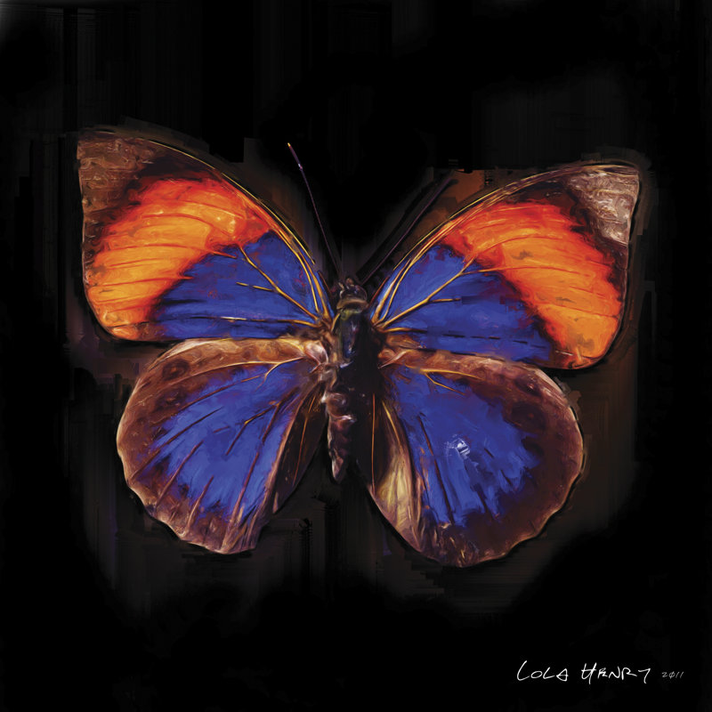 Techno Butterfly III by Lola Henry - Wrapped Canvas Painting, 30cm H x 30cm W