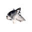 Dog Days I Print by Emma Brooks-26924402-26924404
