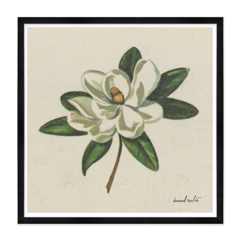 Magnolia Print, Black