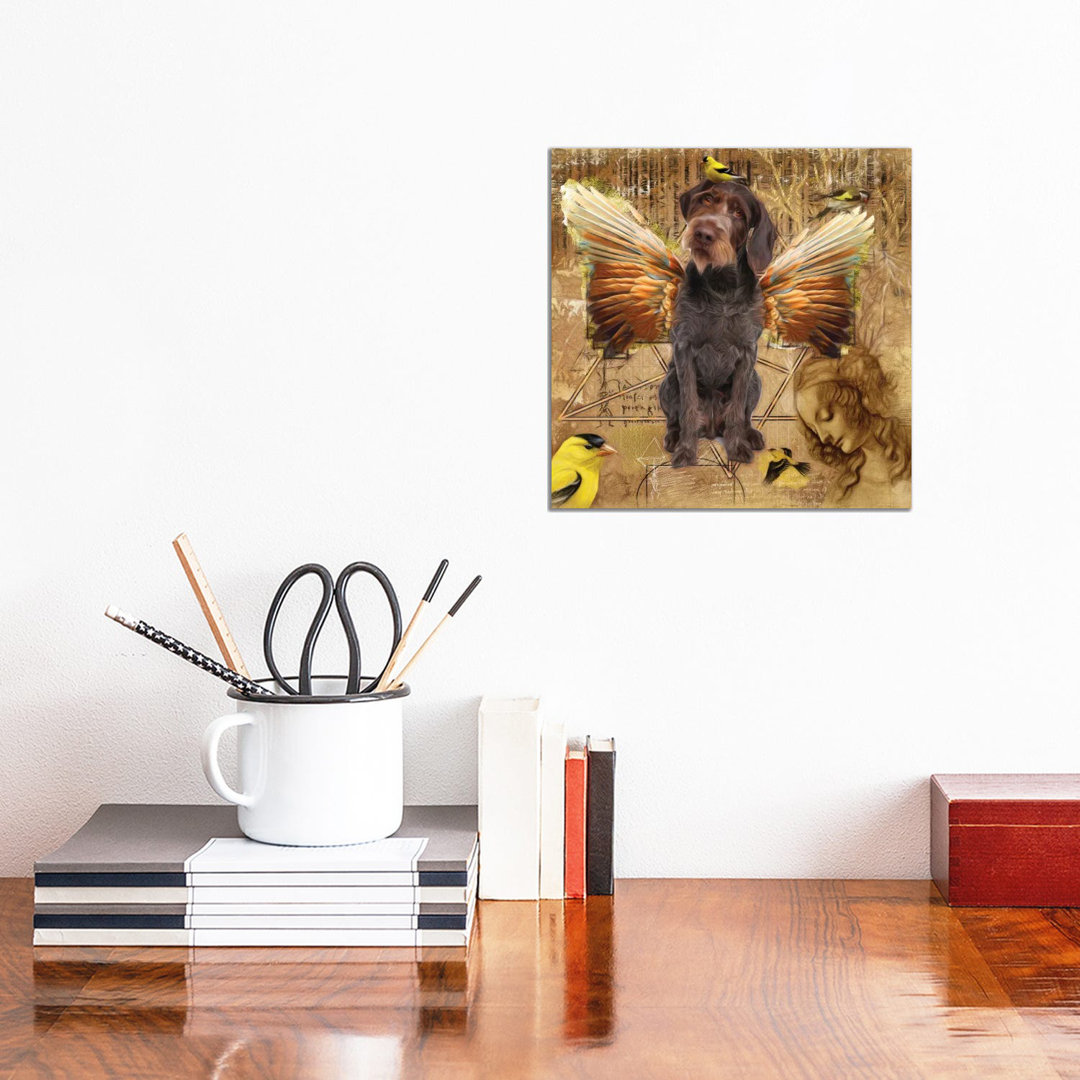 German Wirehaired Pointer Angel Da Vinci
