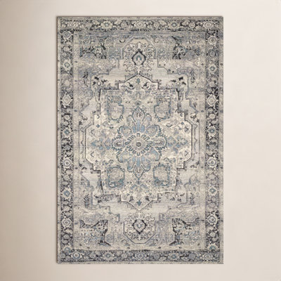 Cusack Oriental Outdoor Rug