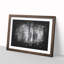 Montana Forest - Picture Frame Painting Print-56735573-56735574