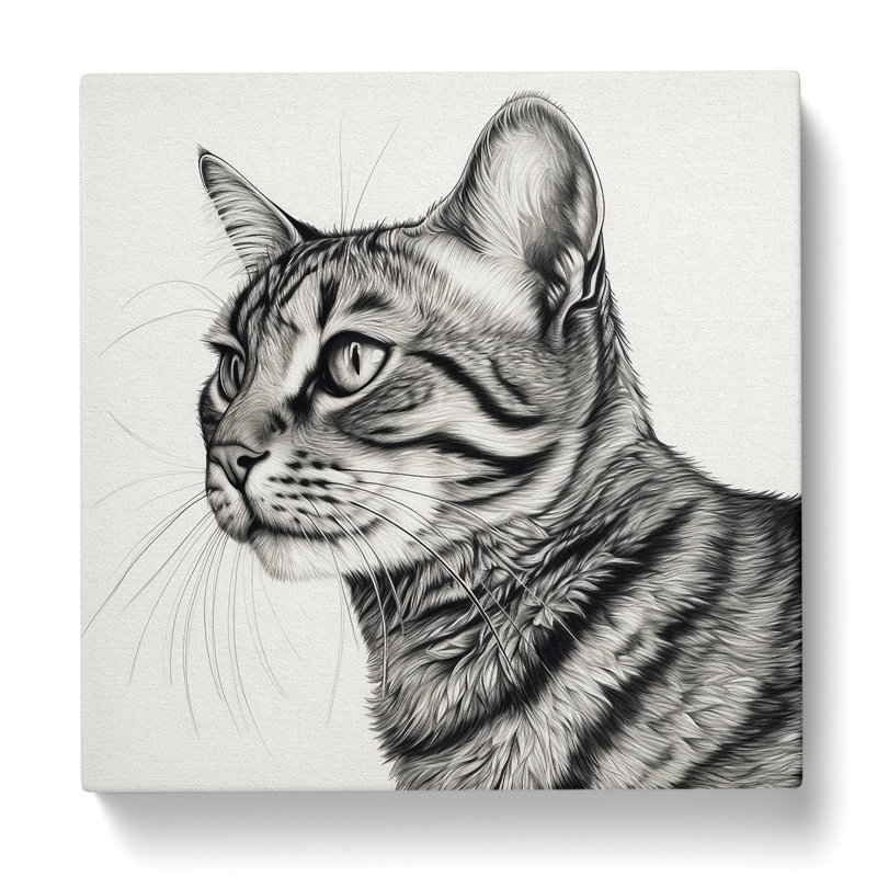 Cat Drawing - No Frame Print, 50cm H x 50cm W x 3cm D