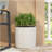 PLANTER-1471350971