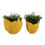 Jardinières décoratives rondes en forme de fleur pour la terrasse du jardin - Pots de fleurs élégants pour le salon et la maison - Ensemble de 2-135592165-131144305
