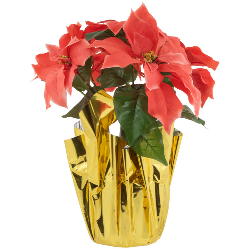 Arrangement de poinsettias, Rose, Or, H 14,5 po x l 11,5 po x P 11,5 po