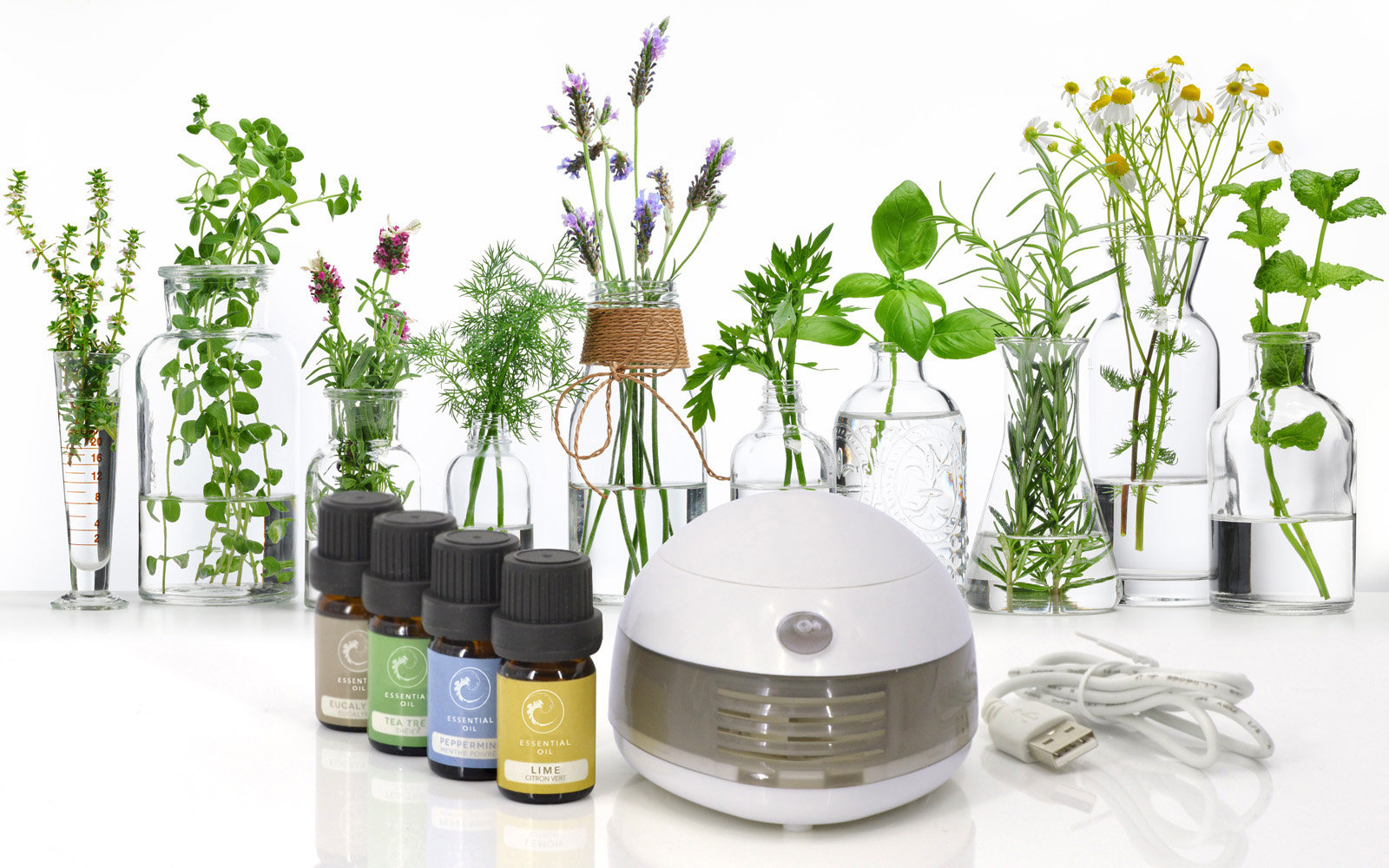 Symple Stuff Steeves Aromatherapy Oil Diffuser Set | Wayfair