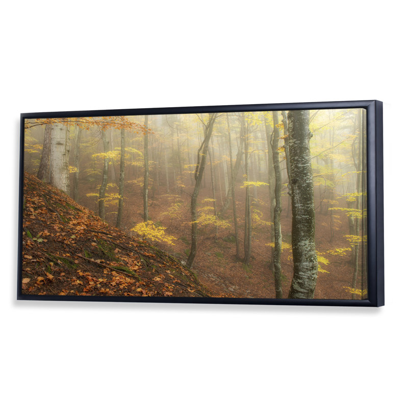 Forêt d'automne couverte de brouillard - photographie sur toile, H 8 po x l 12 po x P 1 po, Cadre noir