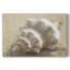 Calmer Shell I -Galerie enveloppée Cavas-162391833