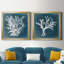 Azure Coral I - ensemble de 2 cadres photo sur toile-1002306478-1002306473