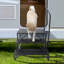 3 - Step Steel Small Step Ladder