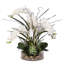 Real Touch Phalaenopsis Orchid with Succulents Floral Arrangement in Pot