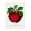 Reproduction d'art sur toile, "ologic botanic "par pomme rouge-103094420