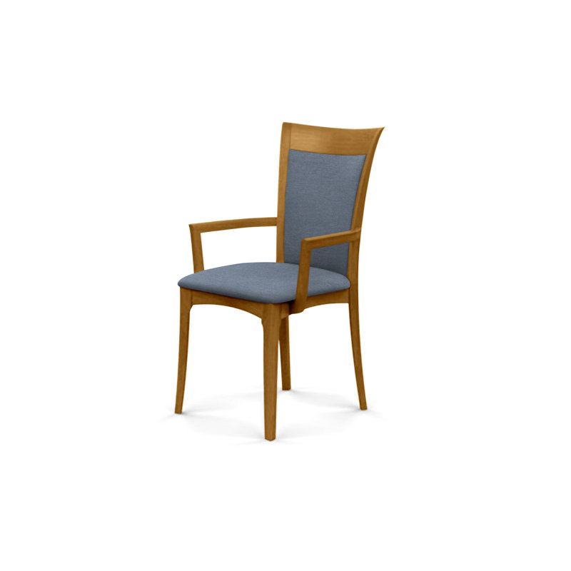 Morgan 19.25'' H Upholstered Armchair, Saddle Cherry, Slate (M10245) Fabric