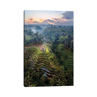 " Rice Terraces Of Bali IV " by Matteo Colombo