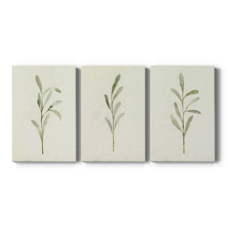 Olive Leaves I - Toile tendue avec châssis sur mesure - 3 pièces, H 60 po x l 120 po