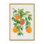 "Oranges and Blossoms II", "Tropical Fruit" par Modern Tropical, reproduction d'art sur toile-533260803-533260806