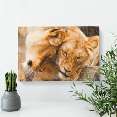 Cuddling Lions - Wrapped Canvas