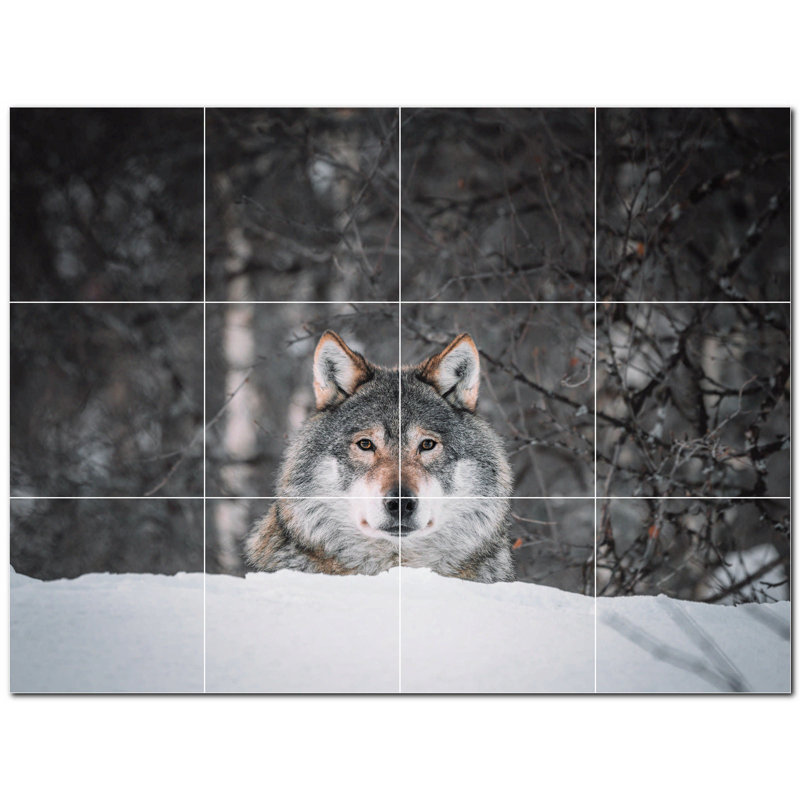 Murale en céramique satinée loup 12 po x 12 po Wolf Photo