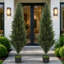 Faux Cypress Tree Plant in Cement Freestanding  Planter-454320981